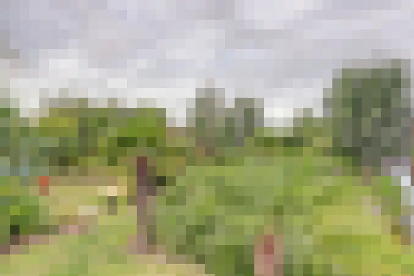 Dijkweg 199 Andijk thumbnail 51