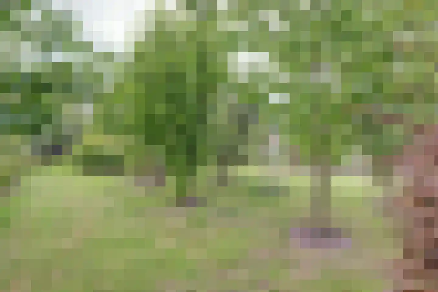Dijkweg 199 Andijk thumbnail 54