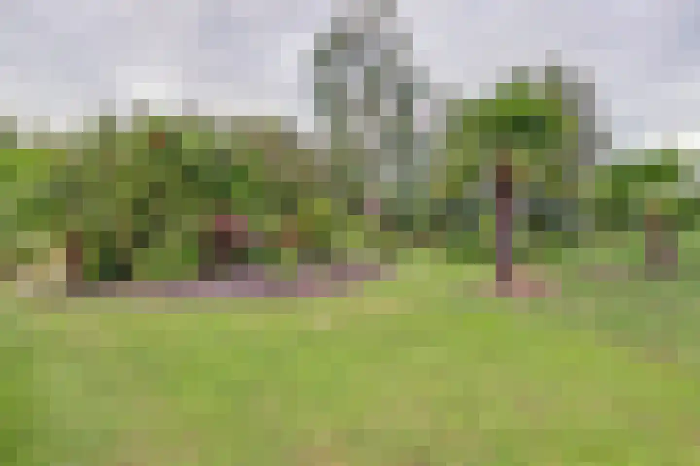 Dijkweg 199 Andijk thumbnail 55