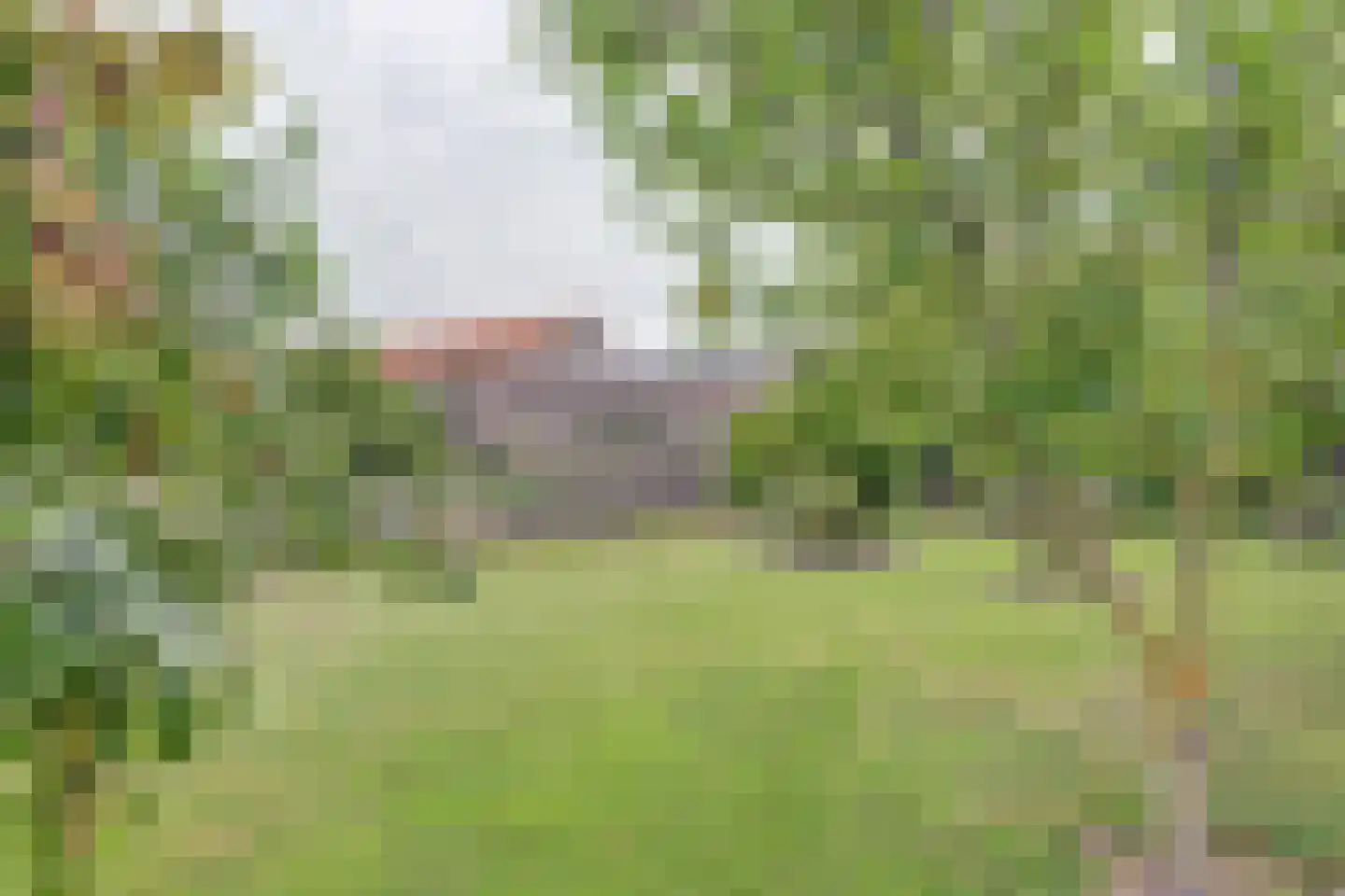 Dijkweg 199 Andijk thumbnail 56