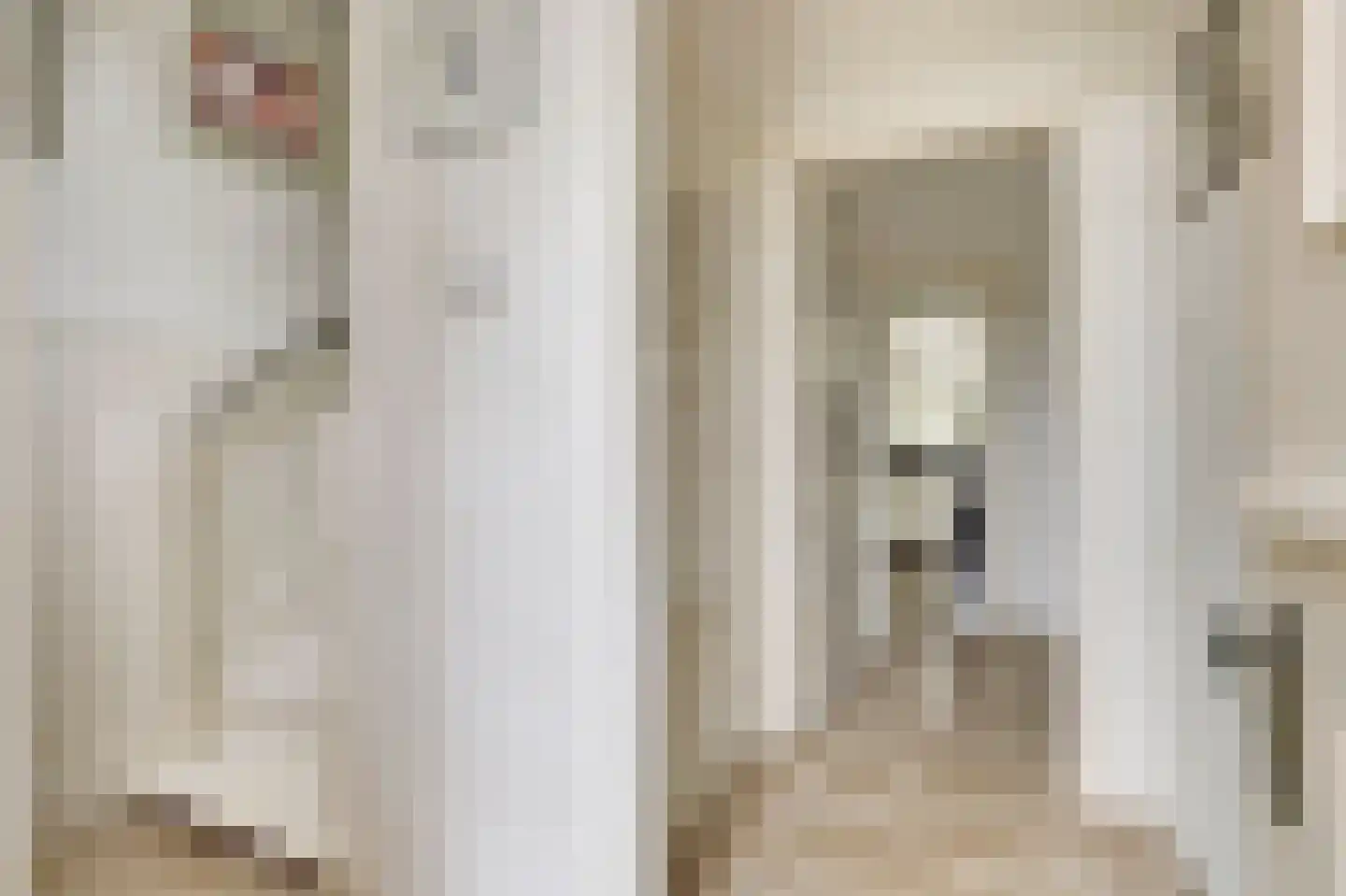 Dijkweg 199 Andijk thumbnail 6