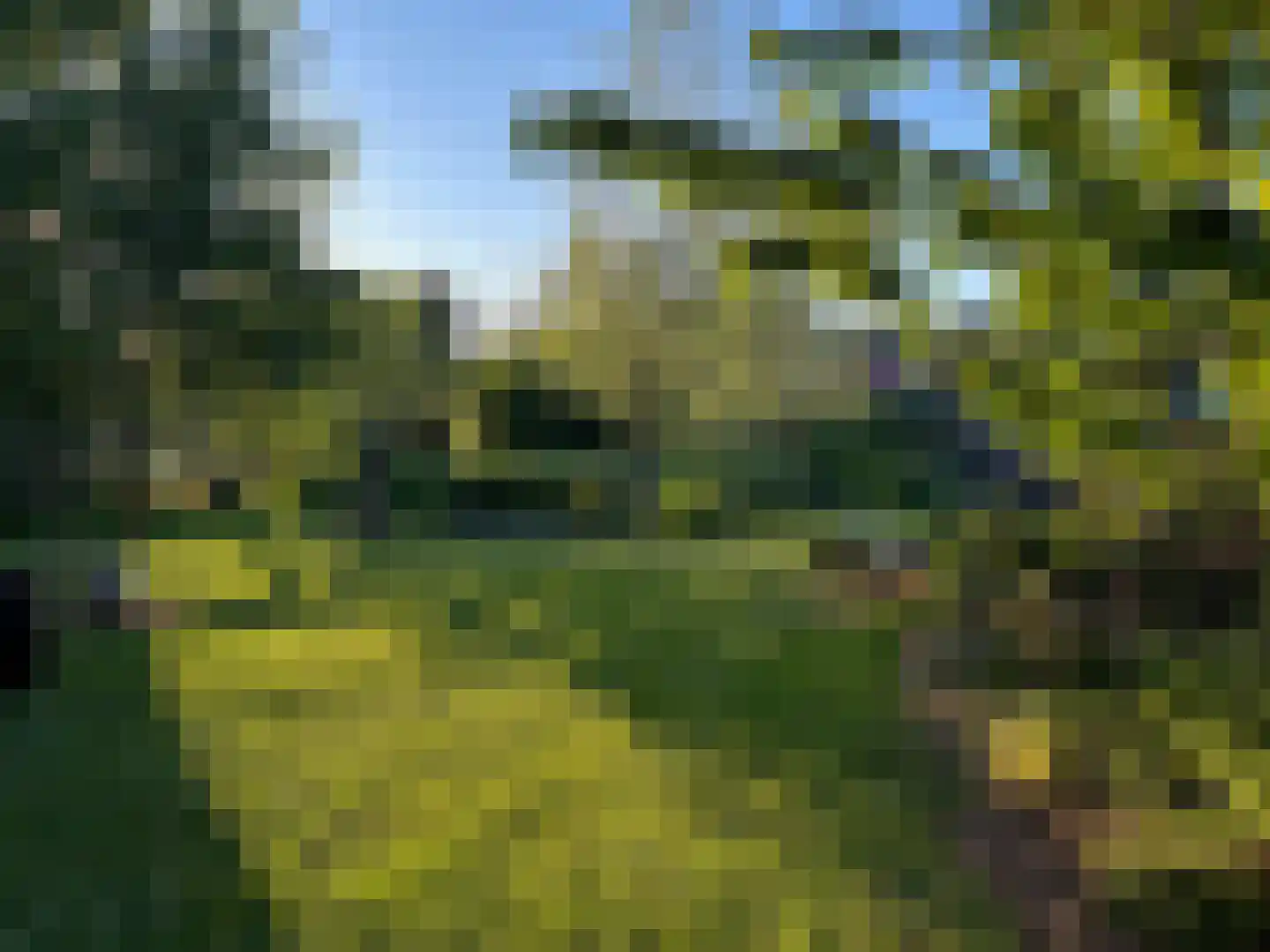 Dijkweg 199 Andijk thumbnail 61