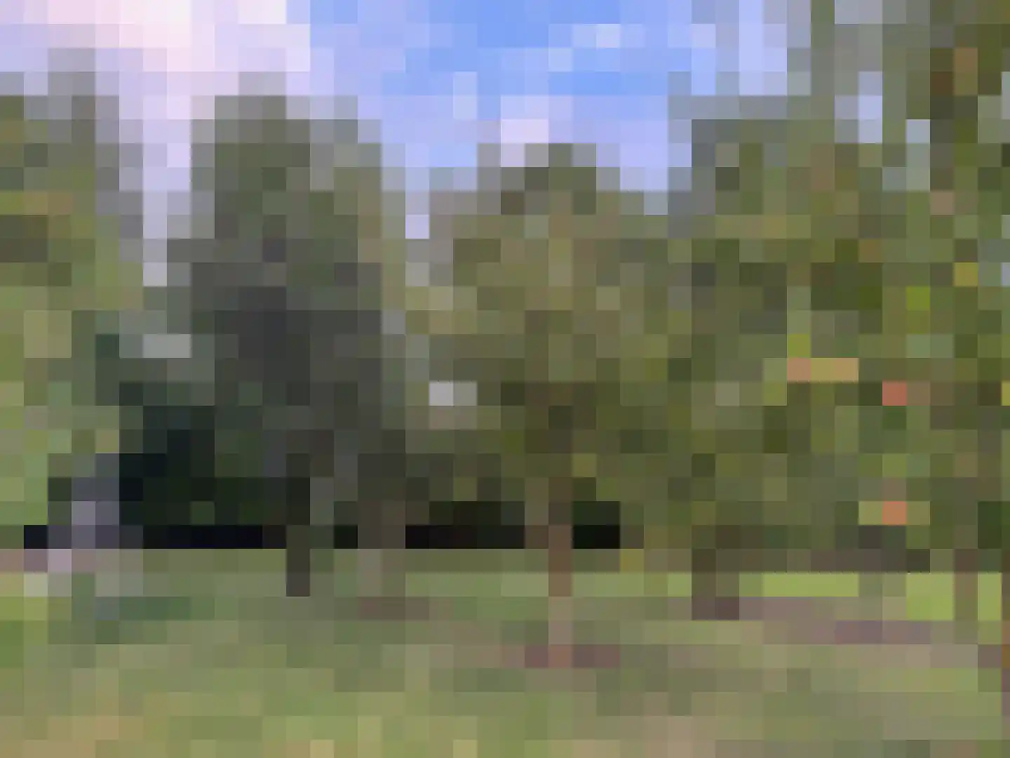Dijkweg 199 Andijk thumbnail 64