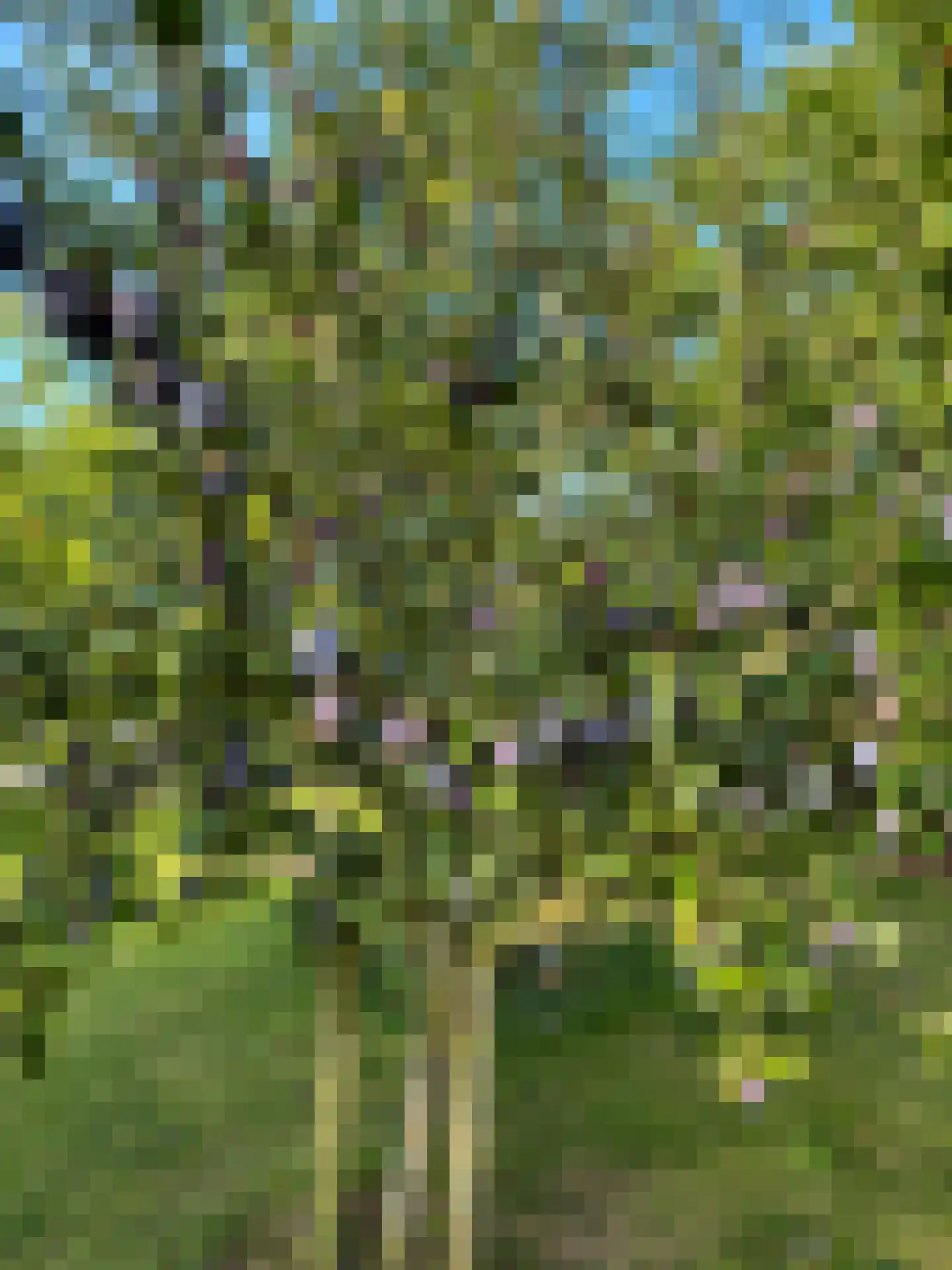 Dijkweg 199 Andijk thumbnail 65