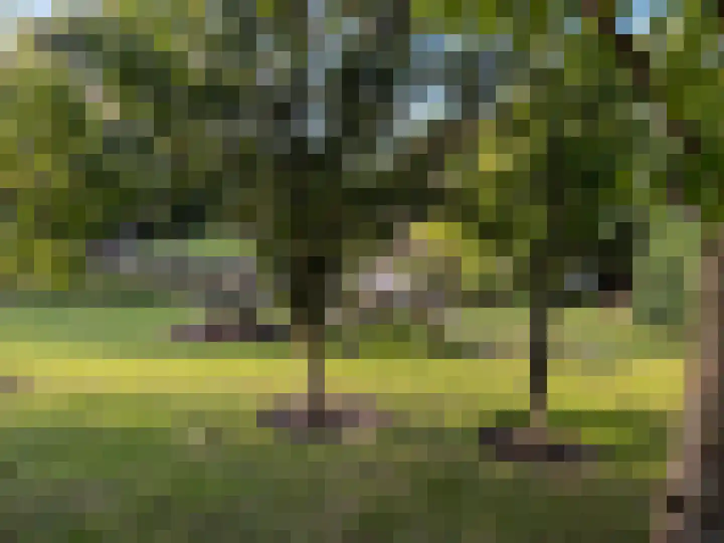 Dijkweg 199 Andijk thumbnail 66