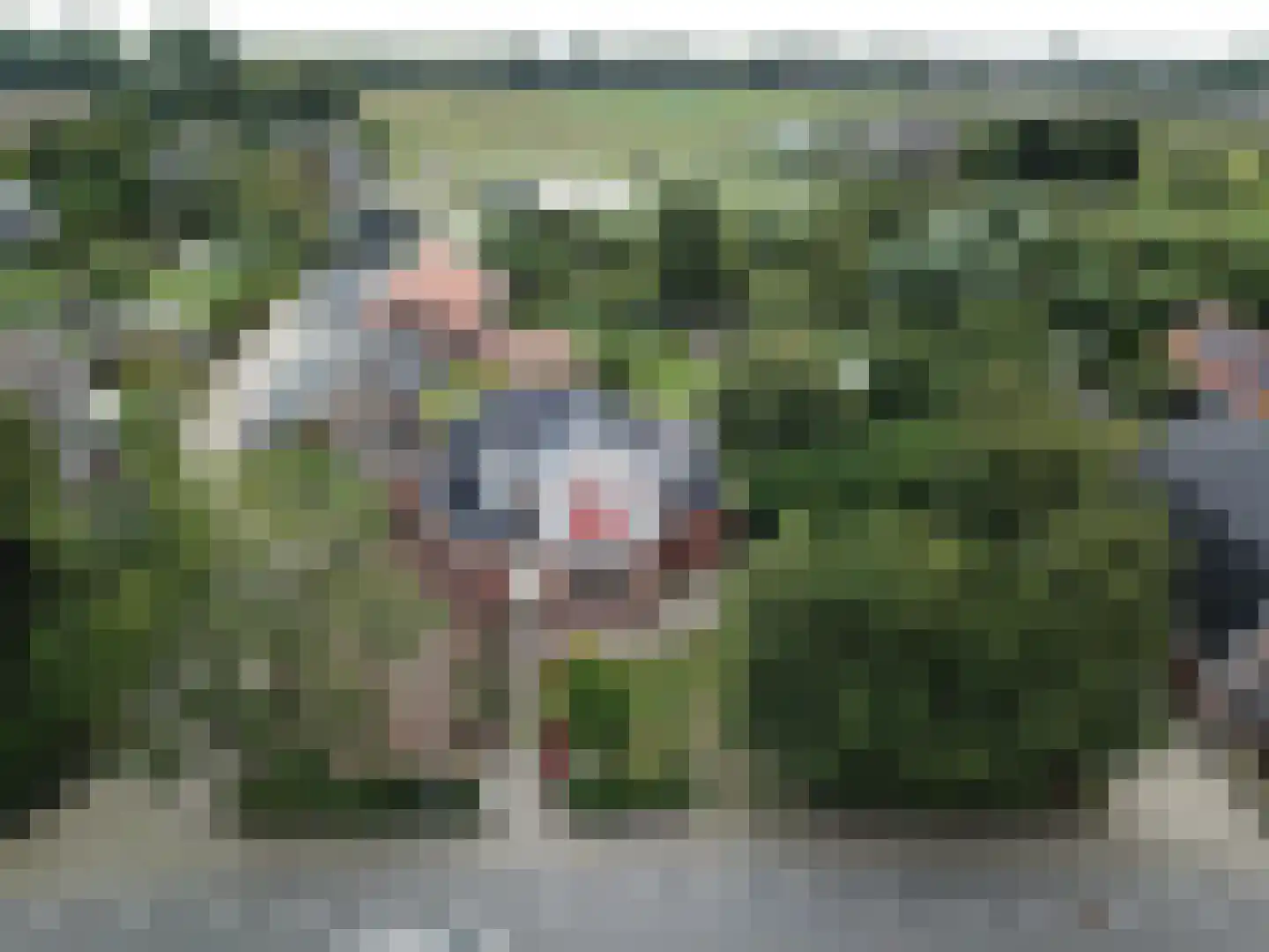 Dijkweg 199 Andijk thumbnail 67