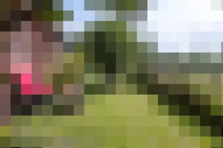 Dijkweg 211 Andijk thumbnail 18
