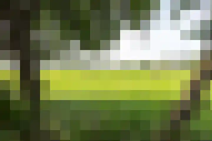 Dijkweg 211 Andijk thumbnail 19