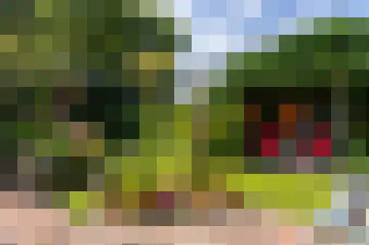 Dijkweg 211 Andijk thumbnail 7