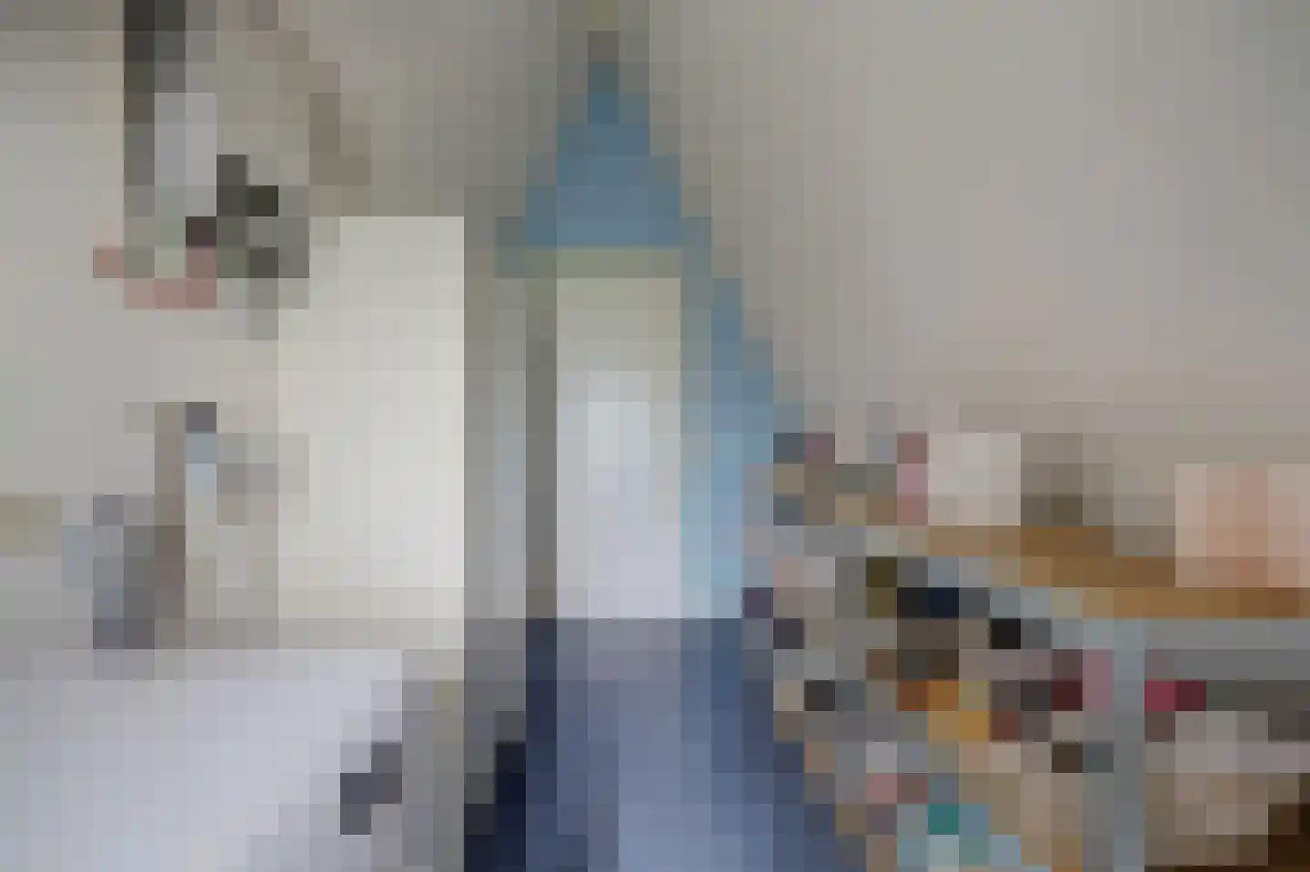 Dijkweg 218 c Andijk thumbnail 26