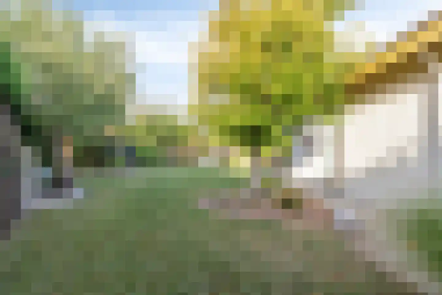 Dijkweg 26 Stavenisse thumbnail 35