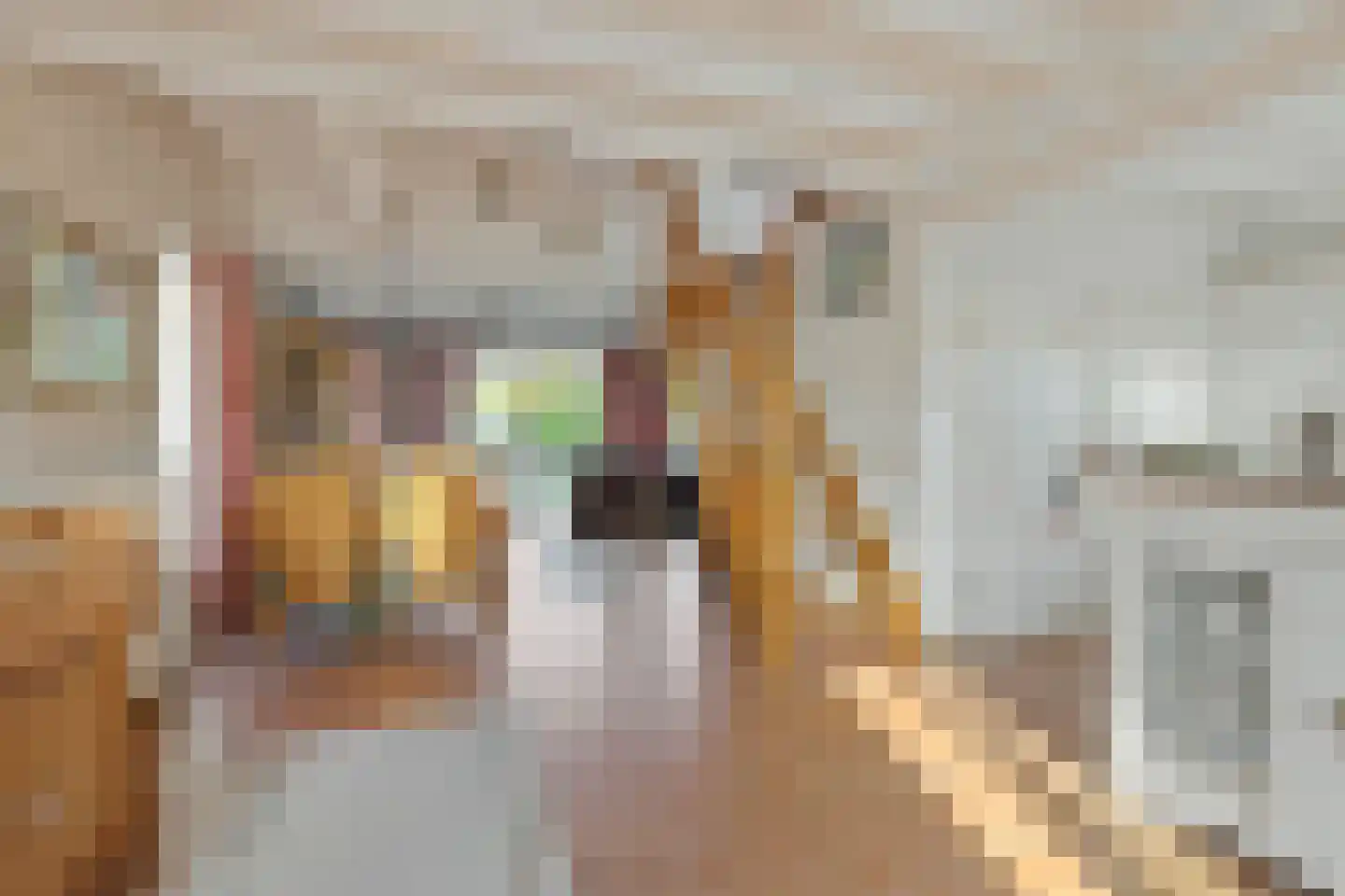 Dijkweg 26 Stavenisse thumbnail 6