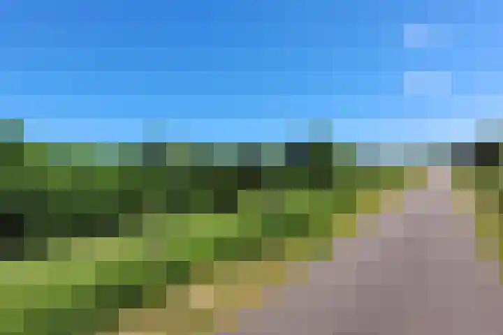 Dijkweg 278 Andijk thumbnail 33