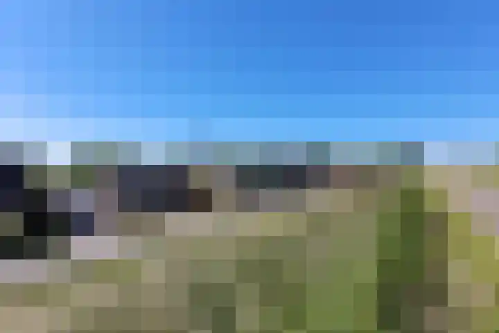 Dijkweg 278 Andijk thumbnail 4