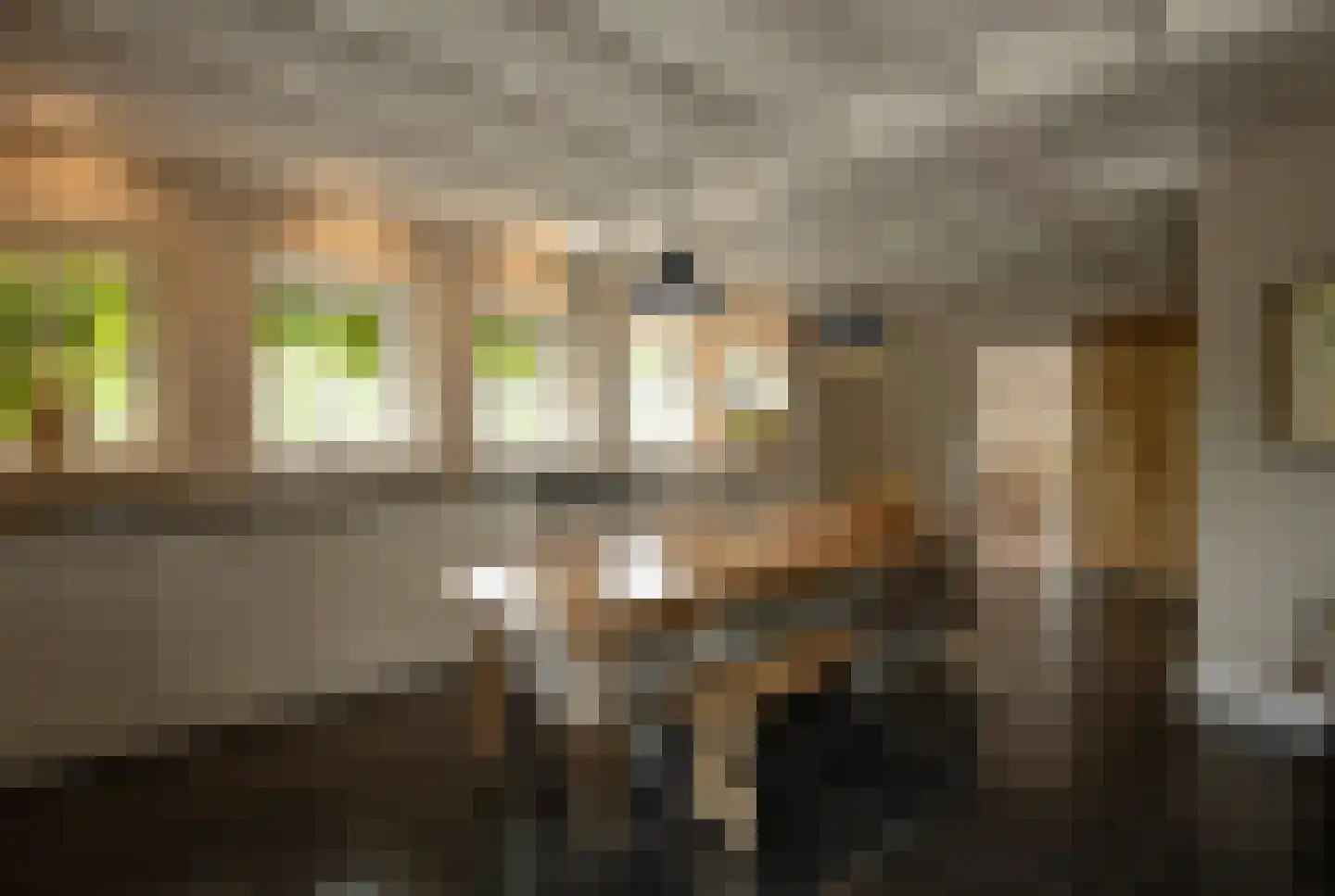 Dijkweg 3 Gendringen thumbnail 10