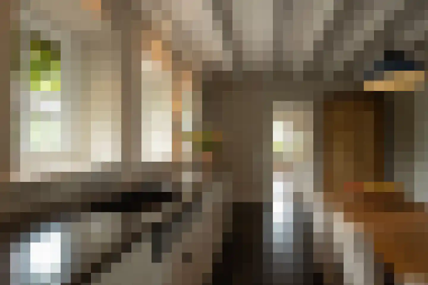Dijkweg 3 Gendringen thumbnail 11