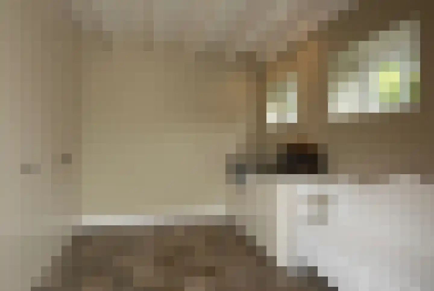 Dijkweg 3 Gendringen thumbnail 13