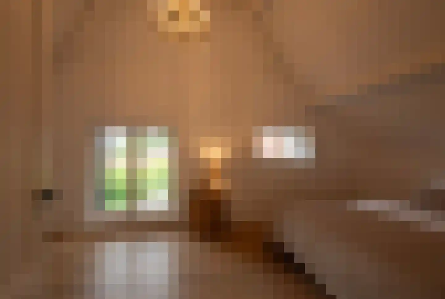 Dijkweg 3 Gendringen thumbnail 25