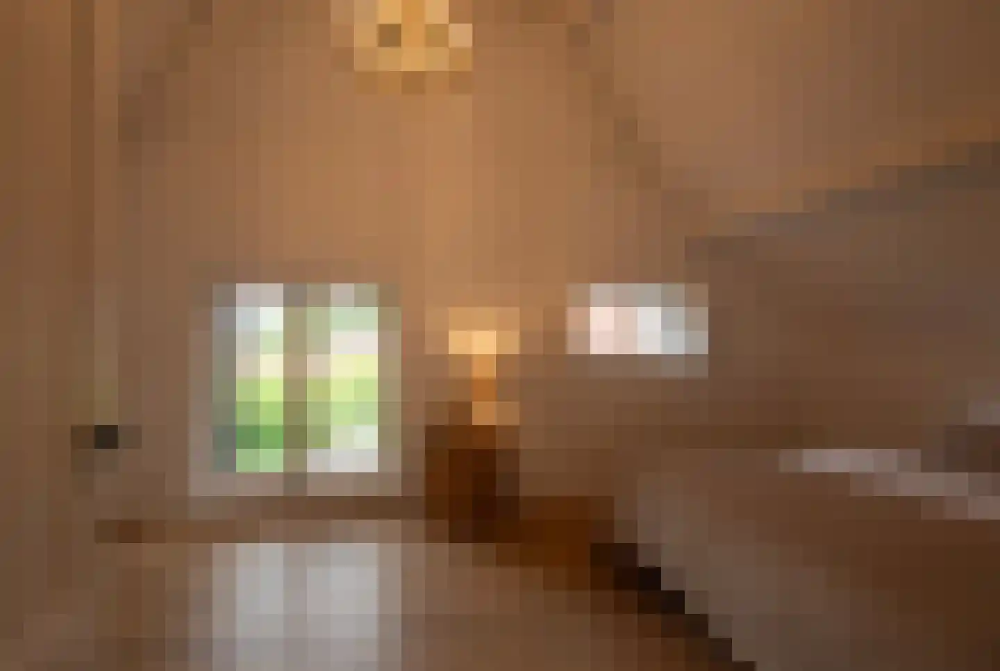 Dijkweg 3 Gendringen thumbnail 25