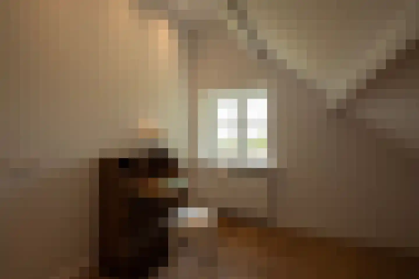Dijkweg 3 Gendringen thumbnail 34
