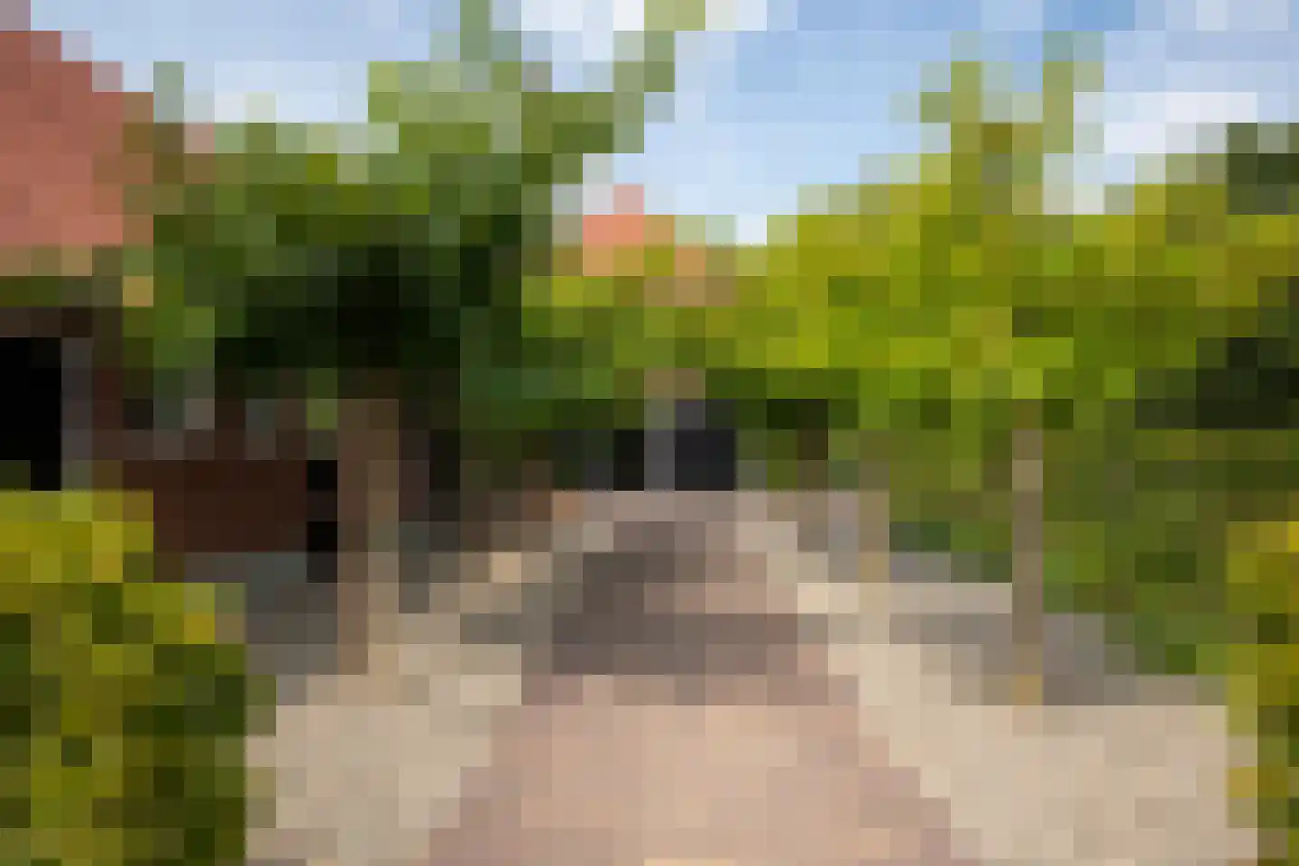 Dijkweg 3 Gendringen thumbnail 36