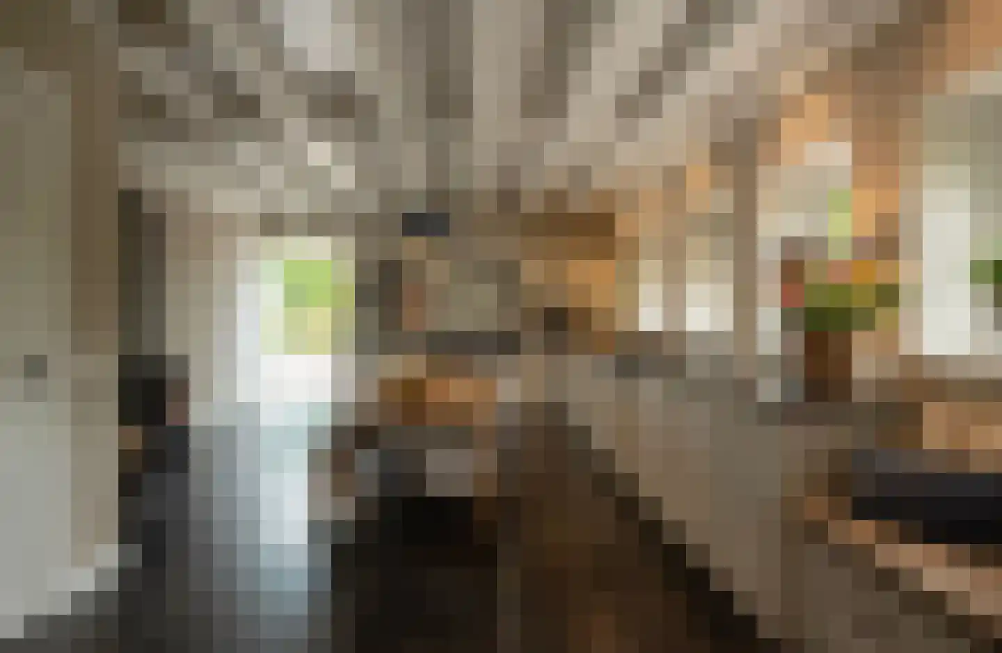 Dijkweg 3 Gendringen thumbnail 4
