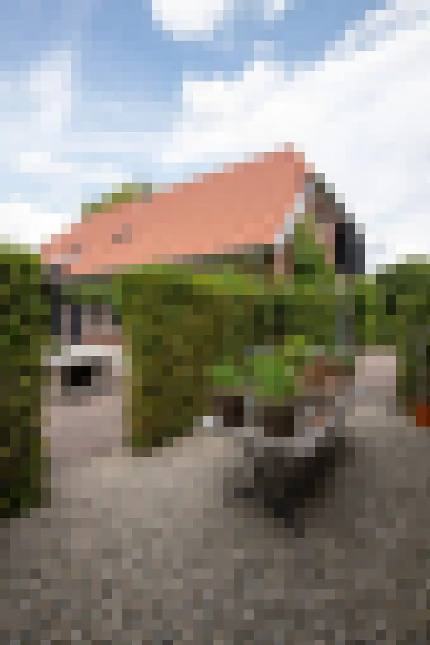 Dijkweg 3 Gendringen thumbnail 41