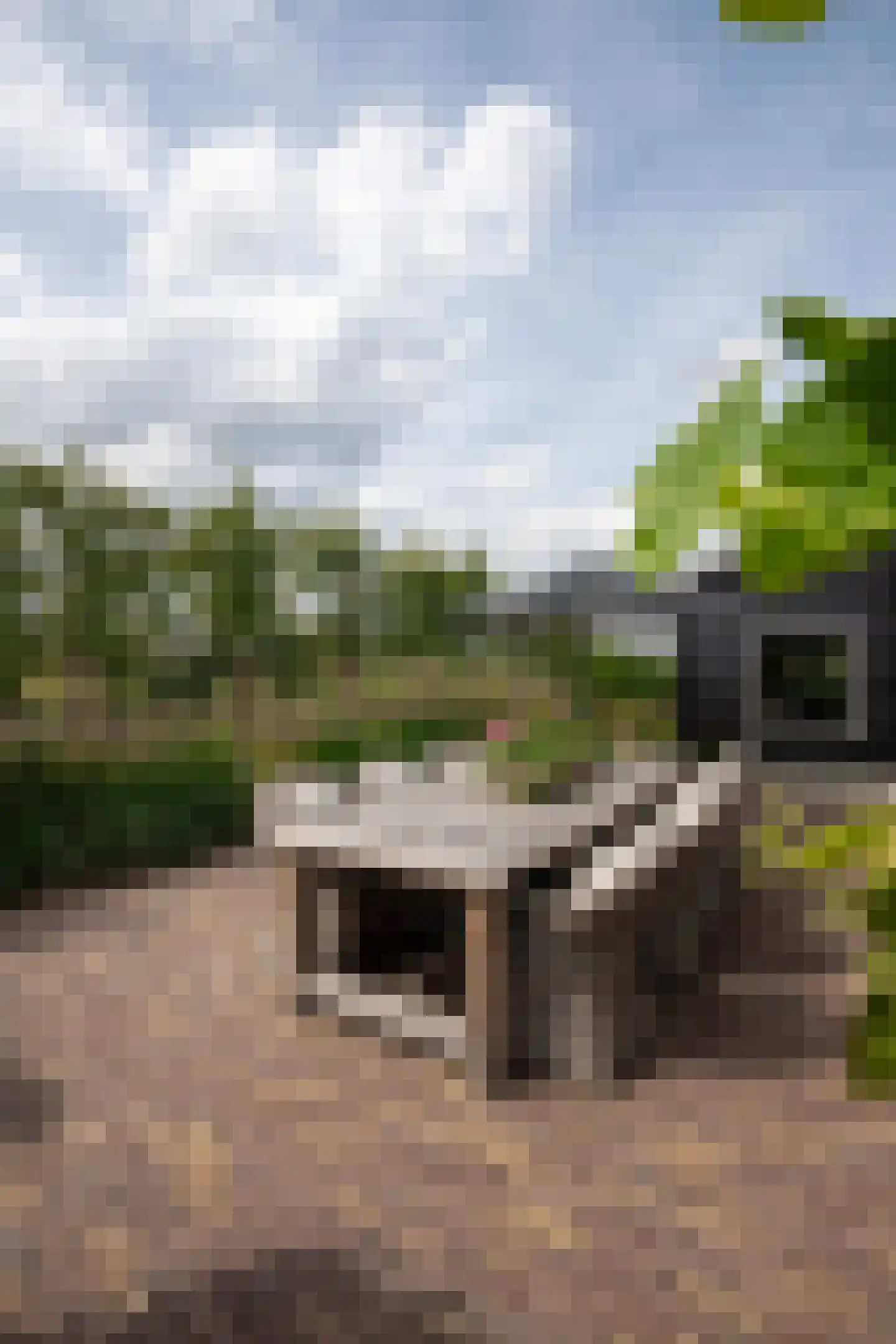 Dijkweg 3 Gendringen thumbnail 45