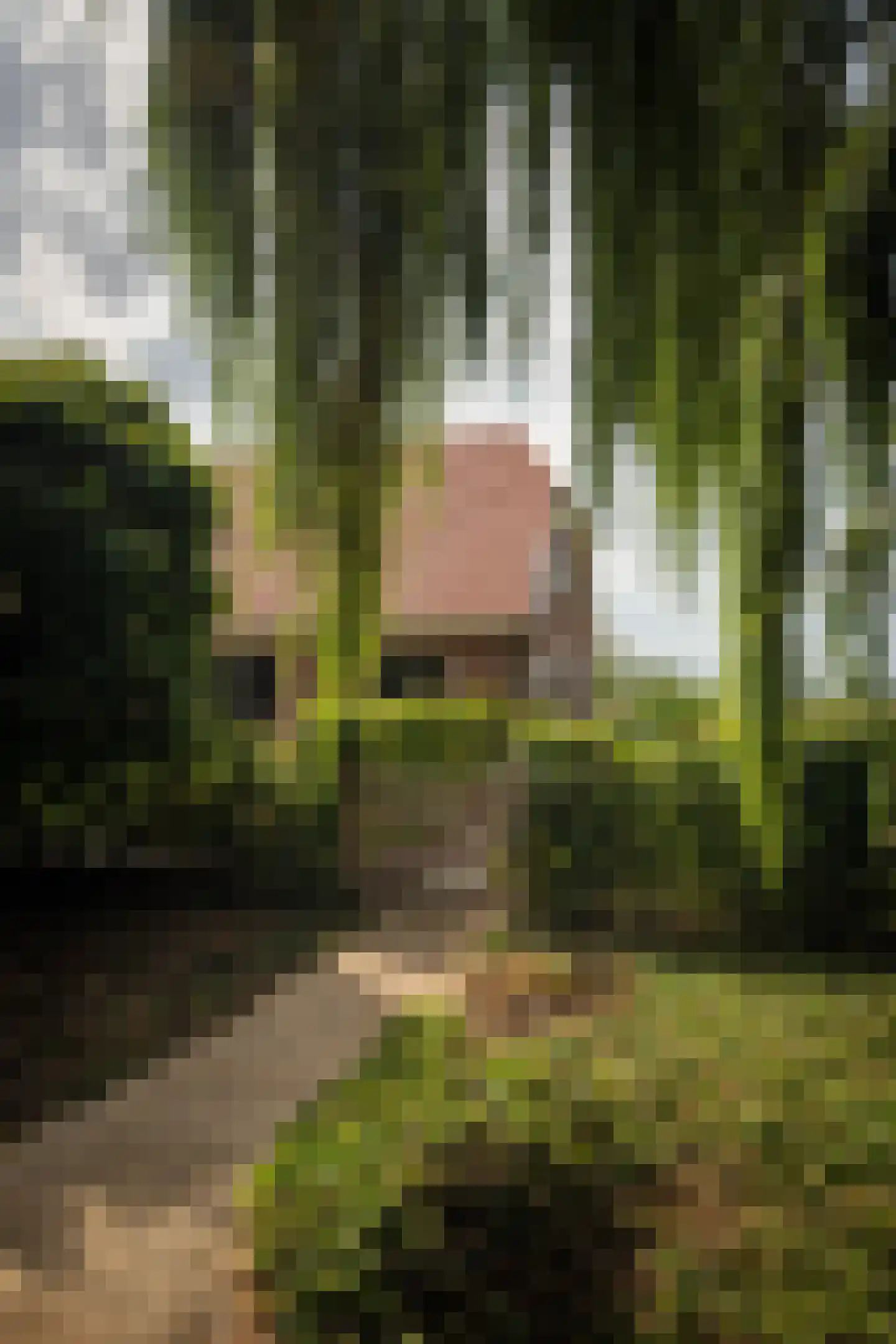 Dijkweg 3 Gendringen thumbnail 46