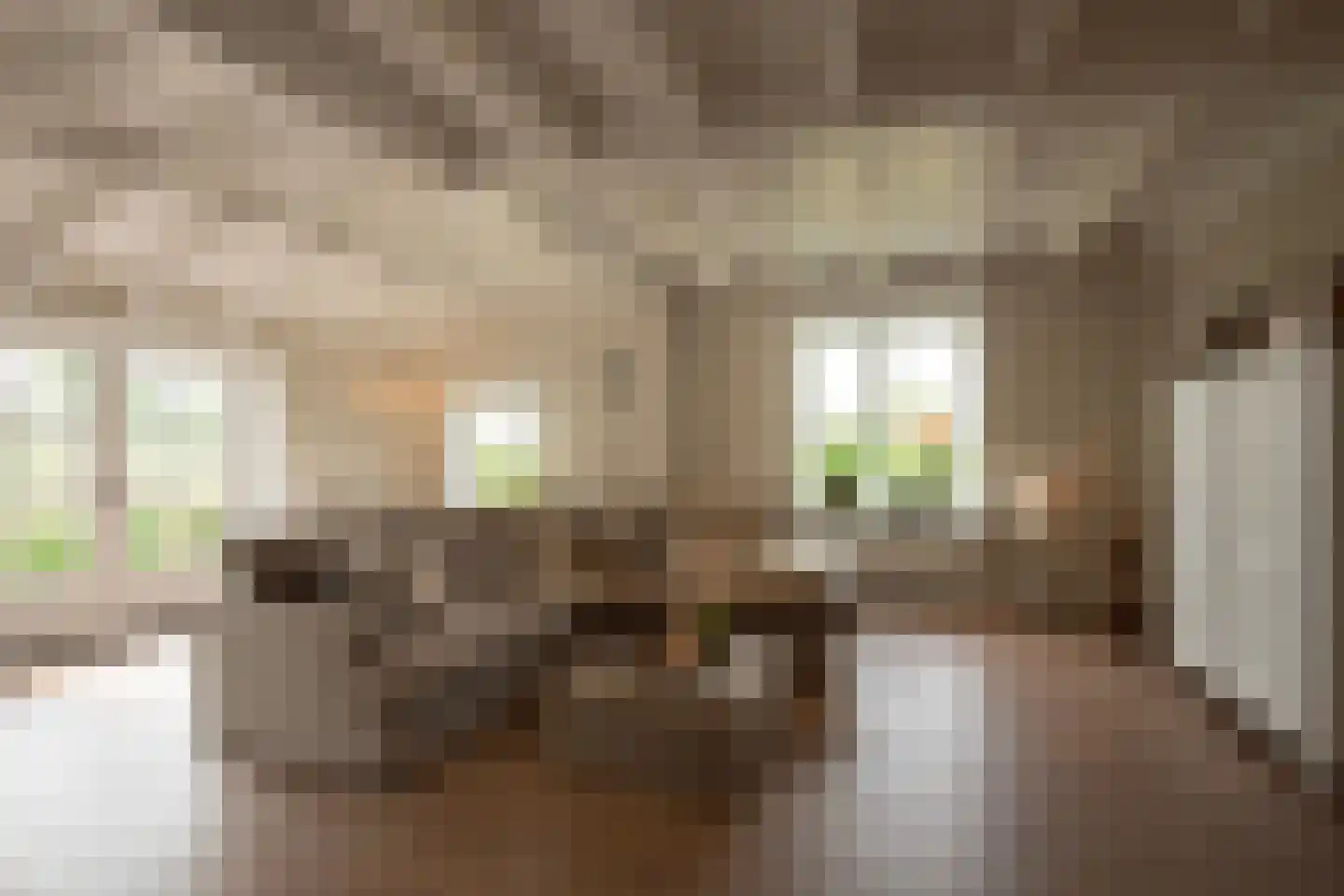 Dijkweg 3 Gendringen thumbnail 5