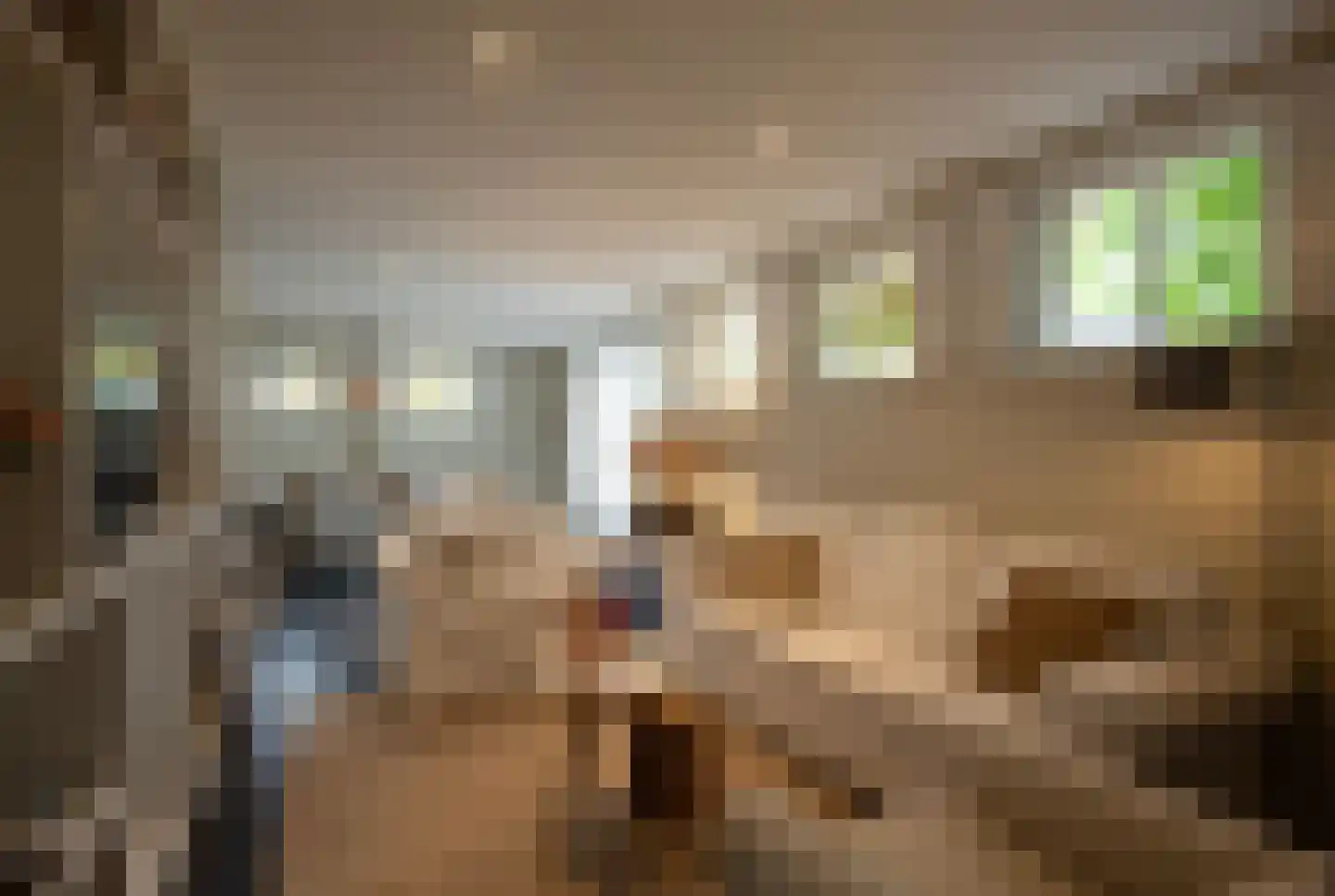 Dijkweg 3 Gendringen thumbnail 54