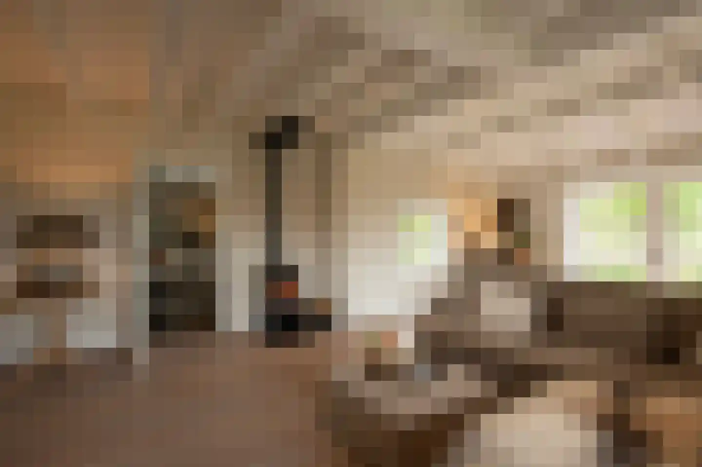 Dijkweg 3 Gendringen thumbnail 6