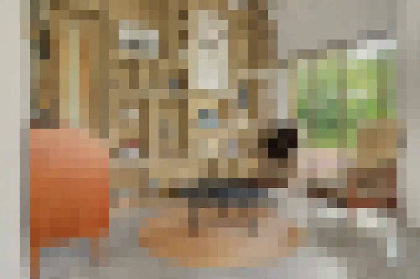 Dijkweg 30 Serooskerke thumbnail 17