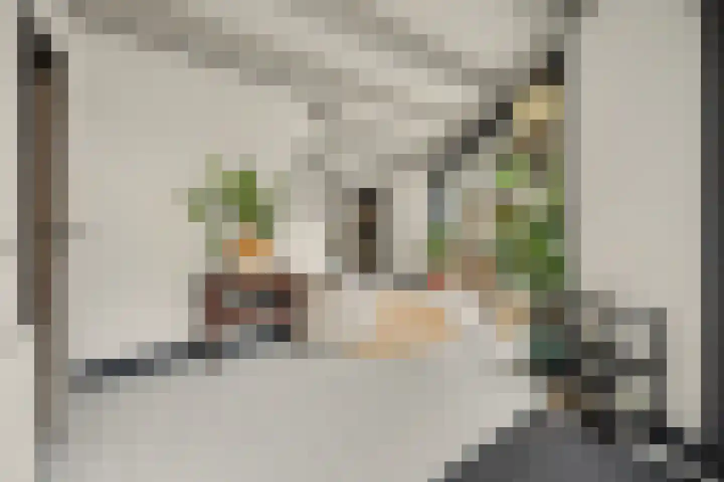 Dijkweg 30 Serooskerke thumbnail 20