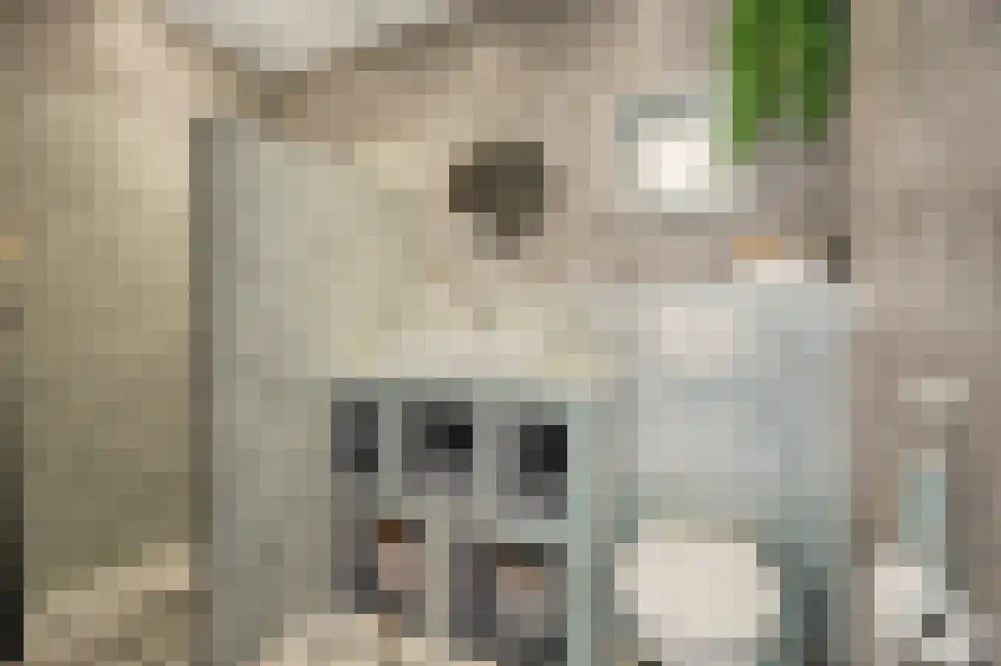 Dijkweg 30 Serooskerke thumbnail 33