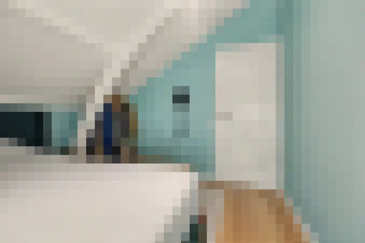 Dijkweg 30 Serooskerke thumbnail 39