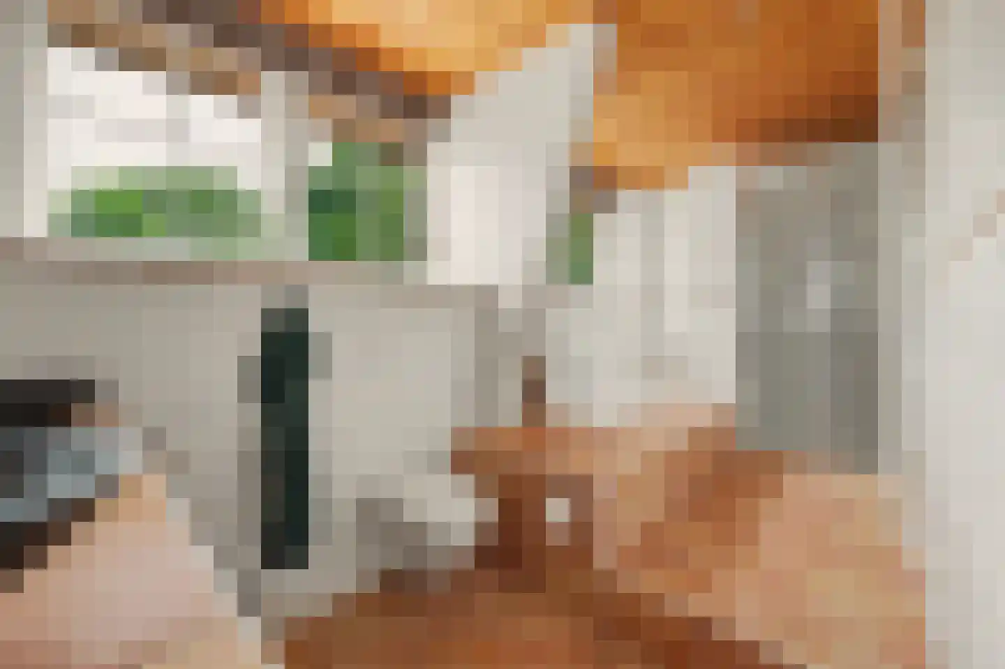 Dijkweg 30 Serooskerke thumbnail 42
