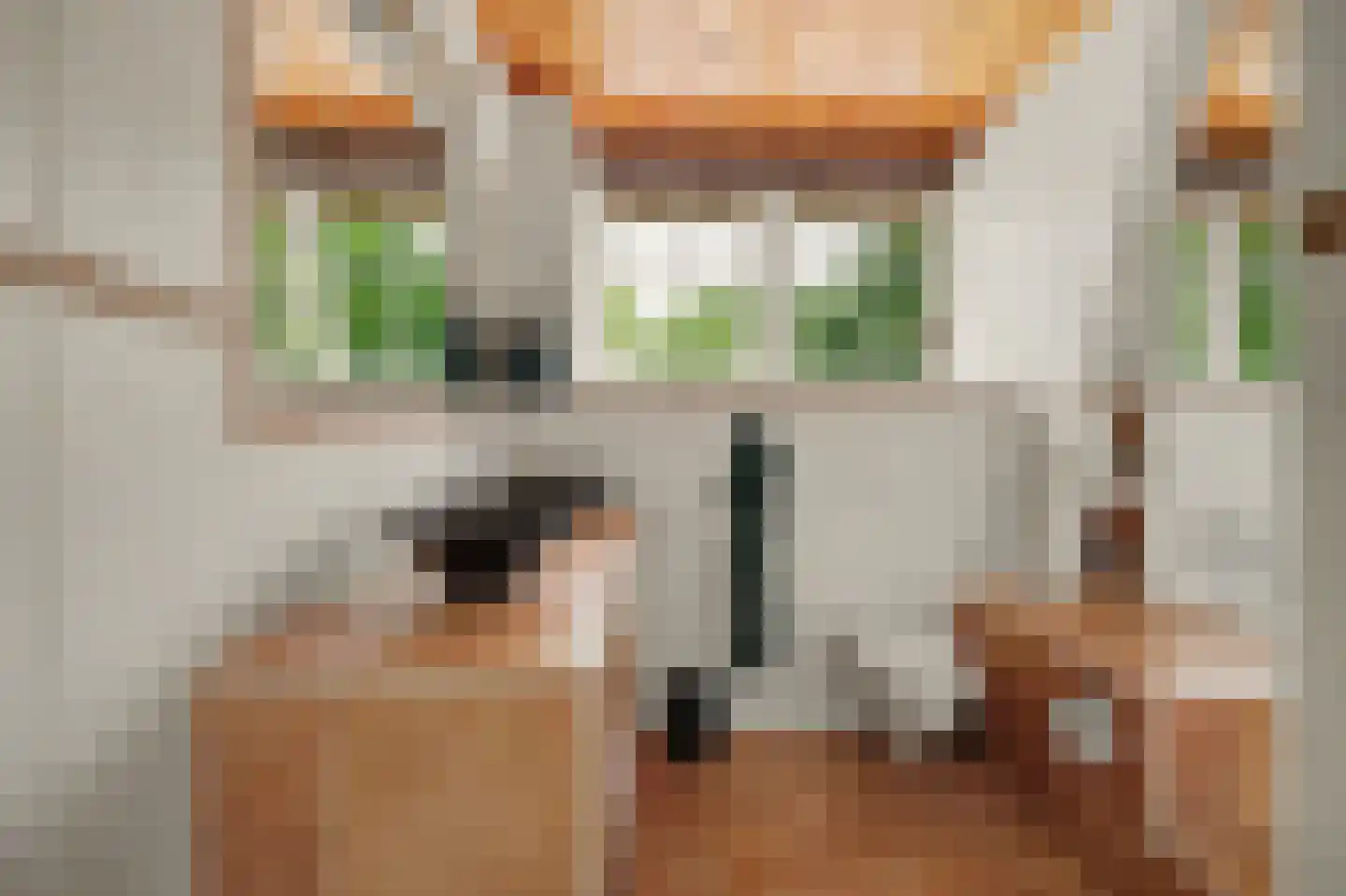 Dijkweg 30 Serooskerke thumbnail 43