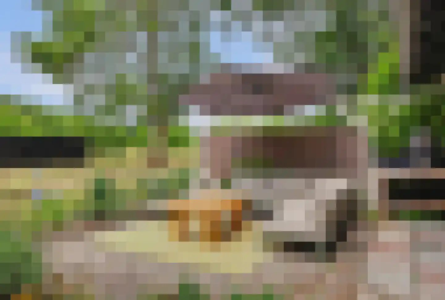 Dijkweg 30 Serooskerke thumbnail 56