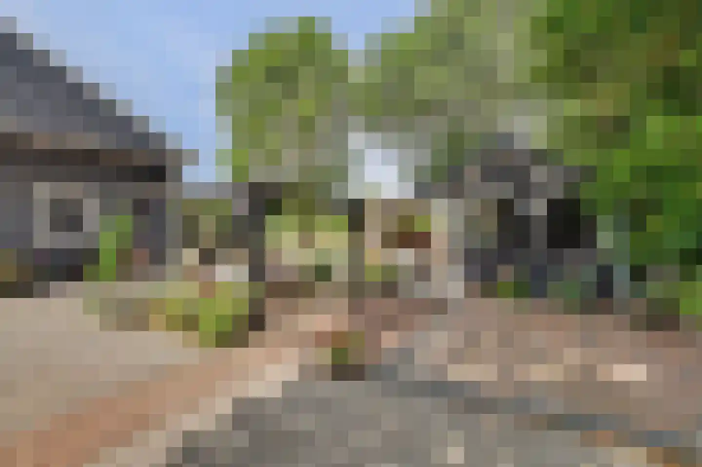 Dijkweg 30 Serooskerke thumbnail 57
