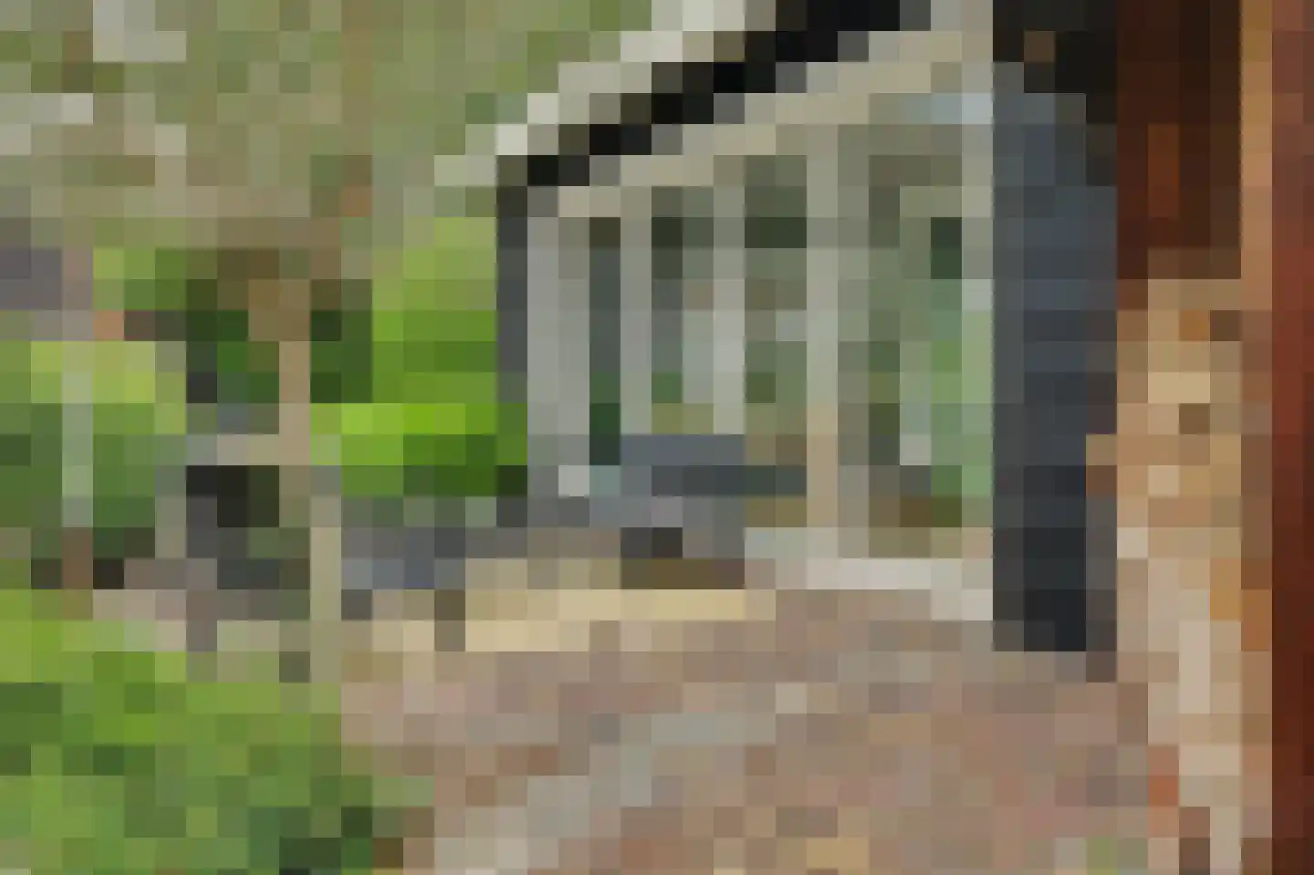Dijkweg 30 Serooskerke thumbnail 61