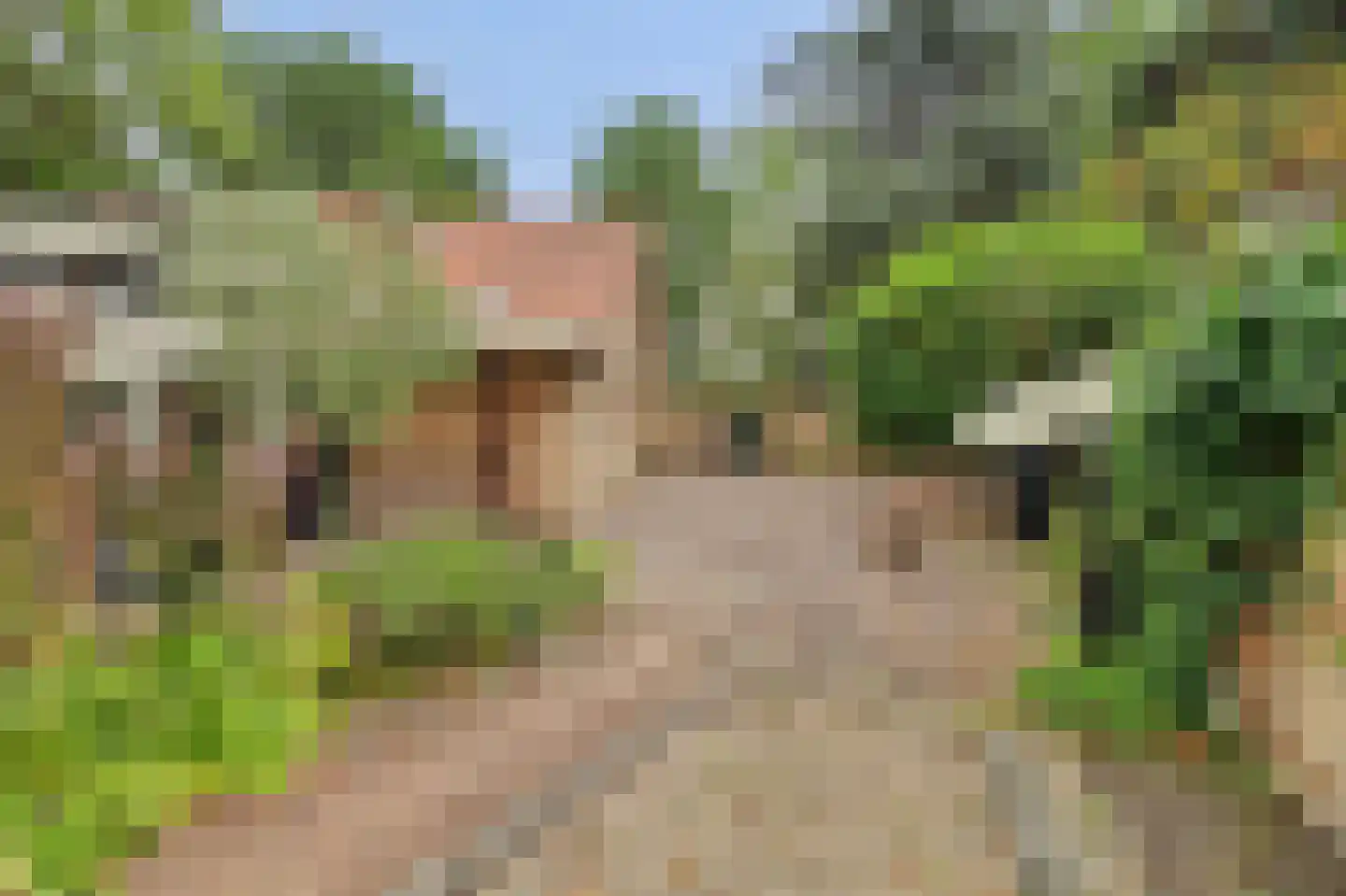 Dijkweg 30 Serooskerke thumbnail 67