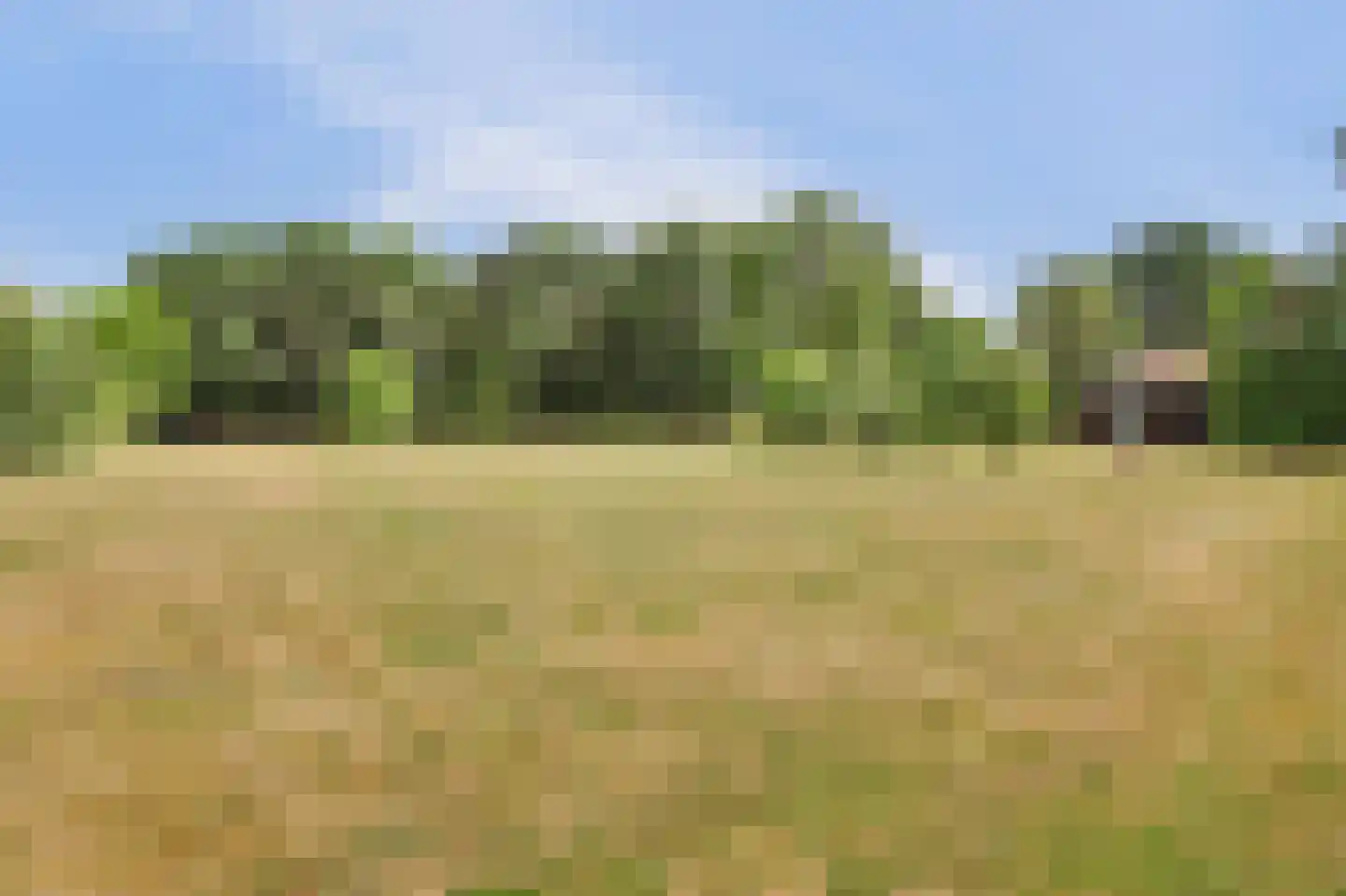 Dijkweg 30 Serooskerke thumbnail 73