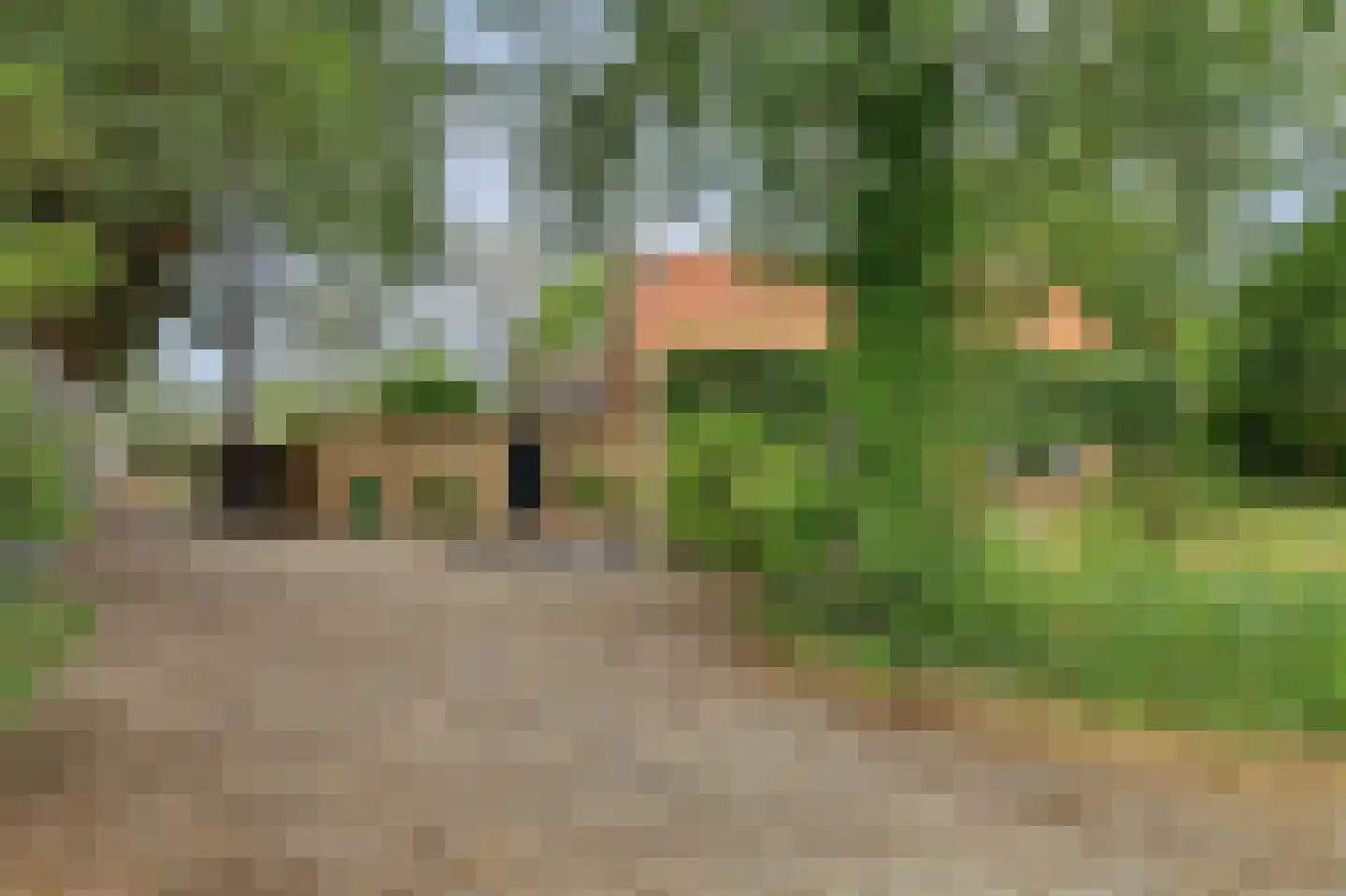 Dijkweg 30 Serooskerke thumbnail 9