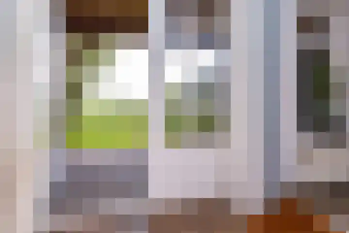 Dijkweg 307 Andijk thumbnail 10