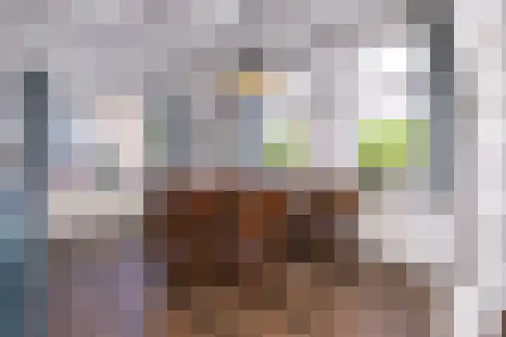 Dijkweg 307 Andijk thumbnail 18