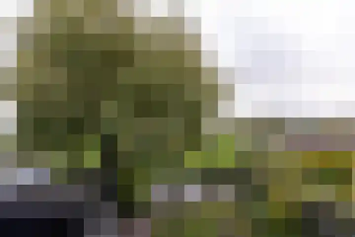 Dijkweg 307 Andijk thumbnail 34