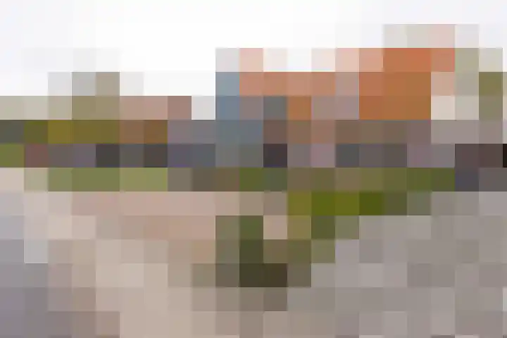 Dijkweg 307 Andijk thumbnail 48