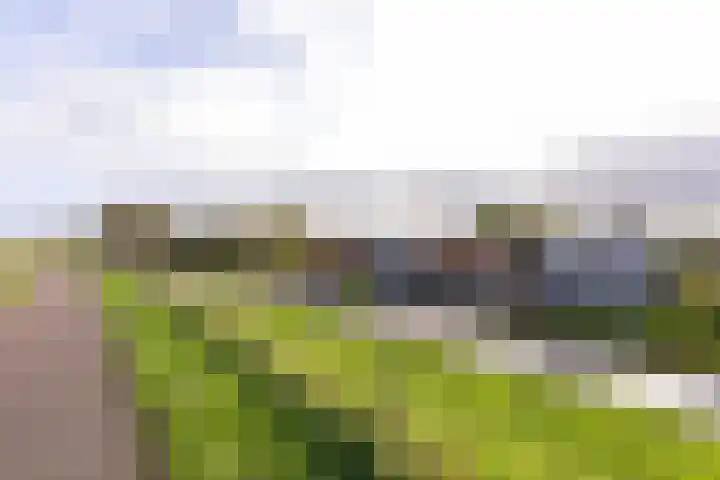 Dijkweg 307 Andijk thumbnail 51