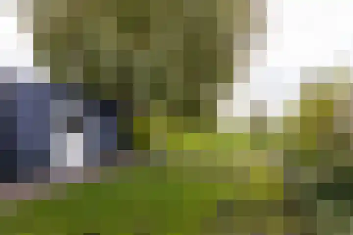 Dijkweg 307 Andijk thumbnail 8